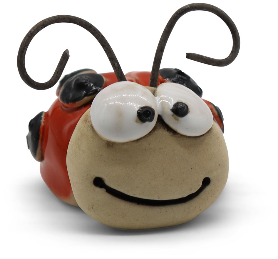 Miniatur Marienkäfer