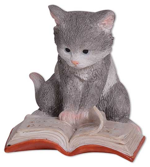Kitten Mautzi is reading