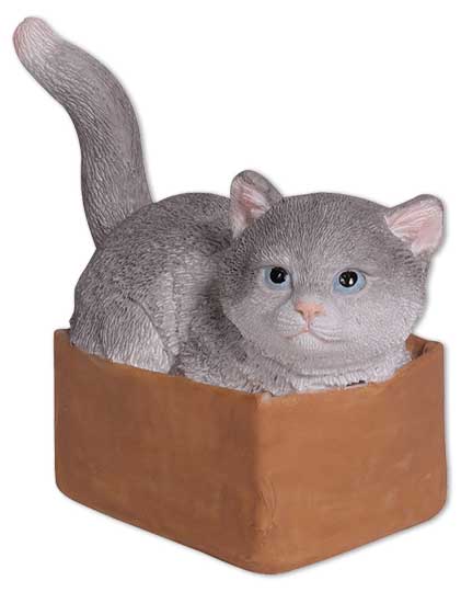 Kitten Leo in a carton