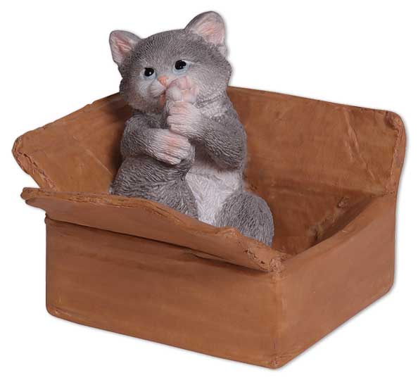Kitten Charlie in a carton