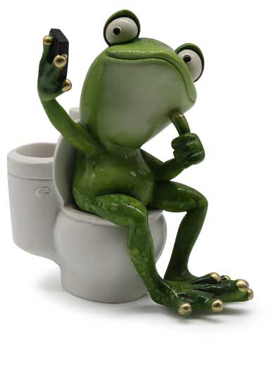 Frog Pascal, making selfie at toilet