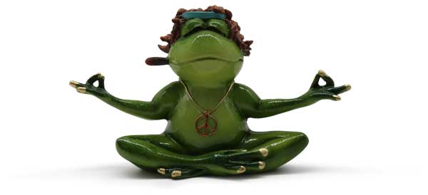 Frosch Philippe macht Yoga