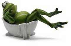 Frosch Pascal badet