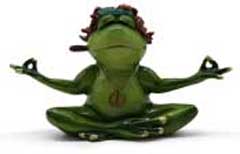 Frosch Philippe macht Yoga