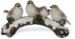 Winter birds on perch