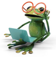 Frosch Canyon mit Laptop