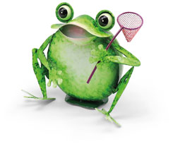 Frosch Wilma, Metall