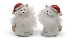 Katze Lilly