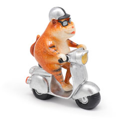 Mr. Carlo fährt Moped