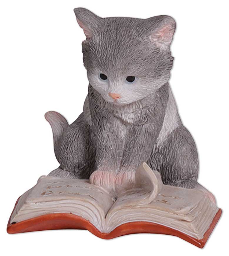 Kitten Mautzi is reading, 