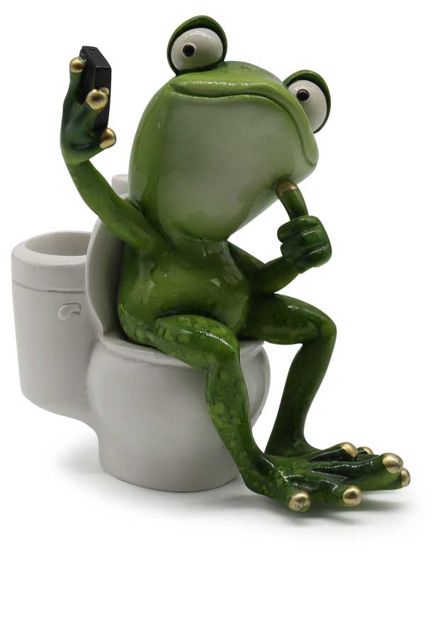 Frosch Pascal macht Selfie auf Toilette, 